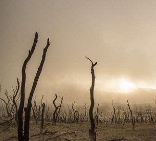 World needs $8.1 trillion investment in nature by 2050 to tackle triple planetary crisis. Credit: CC0 Public Domain