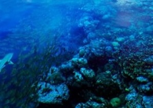 Marovo lagoon_Solomon Islands_S. Chape