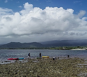 Coral reef restoration by Ferron Fruean and staff. Photo: Junior S. Ami