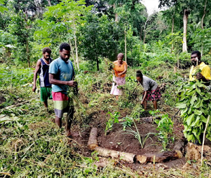 regenerative approaches. credit - https://dailypost.vu/