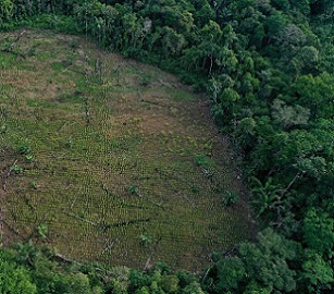 Observers say more new funding is needed, as well as the redirection of the money spent on activities like some agriculture that are harmful to nature. Credit - www.phys.org