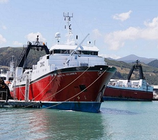 Credit - MARTIN DE RUYTER/STUFF