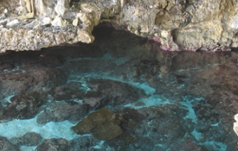 Avaiki coastal cave, Niue. Credit - Vainuupo Jungblut