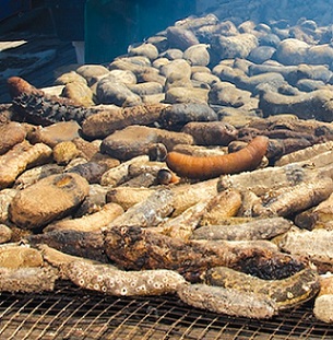 Beche-de-mer harvest reopens. Credit - https://theislandsun.com.sb/