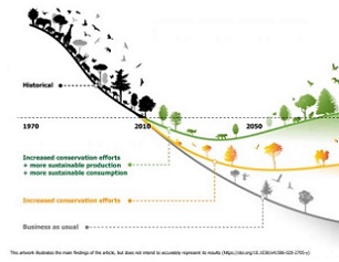 his artwork illustrates the main findings of the article, but does not intend to accurately represent its results. Credit - IIASA