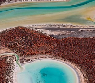 World's largest carbon stores found in Australian World Heritage Sites. Credit - https://ca.news.yahoo.com/