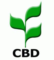 CBD logo