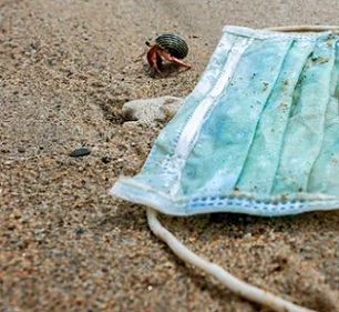 A hermit crab near a discarded face mask. The Kunming biodiversity summit was meant to take place in October last year but has been delayed twice due to the coronavirus pandemic. Photograph: Daniel Garcia Mendoza/Alamy