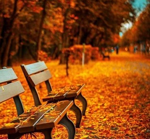 Credit: CC0 Public Domain