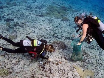 Scientists on the Global Reef Expedition collect crown-of-thorns starfish to limit the damage caused by an outbreak of starfish in Aitutaki. Based on their experience in the Cook Islands, KSLOF scientists developed a best practices guide for safely removing these venomous starfish from the reef. Credit: Khaled bin Sultan Living Oceans Foundation