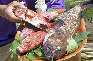 Pastor Ngarima George with apuka (reef cod) and ku (red snapper). Photo: GRAY CLAPHAM 19090425 / 19090426