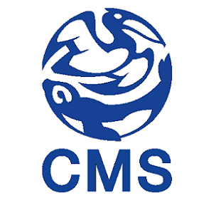 CMS logo
