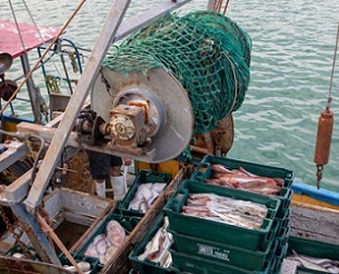 Commercial fisheries. Photo: 123RF