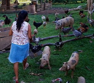 A farmer with livestock in Acre, Brazil. Credit - CIFOR/Kate Evans