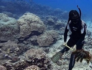 Kura Happ part of the Taramea Operation. Photo: KORERO O TE ORAU. 20092304