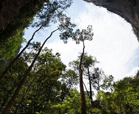 A panhole at Chiribiquete National Park, Colombia/IUCN, Charles Besancon