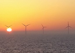 Coronavirus recovery should ‘build back bluer’