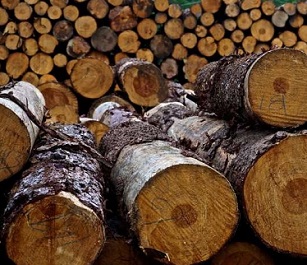 World is not on track to achieve global deforestation goals. Credit: CC0 Public Domain