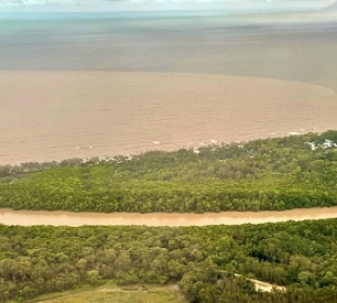 Reforestation could help save coral reefs from catastrophe. Credit - Hoegh Guldberg