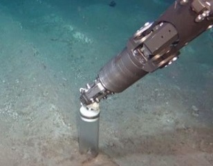 A 26-year-old test-mining track in the Peru Basin, Pacific Ocean illustrates how slowly abyssal ecosystems of the deep seabed recover from physical disturbance. Image: Geomar, ROV Kiel 6000. From Chin, A and Hari, K (2020)/20100260