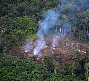 The researchers said that governments had consistently failed to address the root cause of climate change: "the overexploitation of the Earth". Credit - www.phys.org