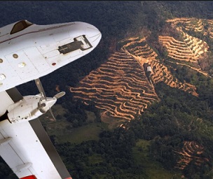 via are airplanes flying across the studied forests with a sensor attached to them. Credit: Aircraft NERC, landscape Benjamin Blonder. Image processing Jani Närhi
