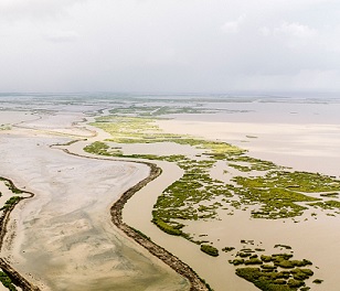 Photo: William Widmer/Redux