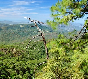 The Sierra de Manantlán biosphere reserve in Mexico is a source of clean water for urban residents in nearby cities.Credit: Adriana Margarita Larios Arellano/Shutterstock