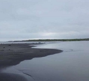 Mukawa estuary, Hokkaido, one of the 22 estuaries sampled for the study. Credit: Akihide Kasai