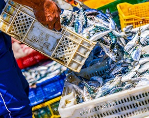 New tool tracks progress of fishery management worldwide. Source - https://www.seafoodsource.com/