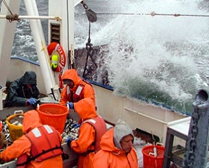 Crew on the R/V Sea Wolf count fish during a trawl survey. Environmental DNA could be a cost-effective way to improve these surveys. Credit - MONMOUTH UNIVERSITY URBAN COAST INSTITUTE