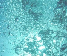 Finding food security underwater. Credit: CC0 Public Domain