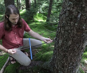 WVU alumnus Justin Mathias holds a tree increment borer to extract tree cores at Gaudineer Knob in West Virginia. Mathias and Richard Thomas, professor of forest ecology and climate change, found that trees are taking in more carbon dioxide than previously thought in a new study. Credit: West Virginia University