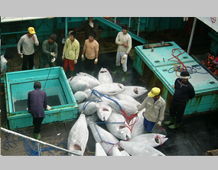 Pacific fisheries observer suspensions extended. Source - https://www.seafoodsource.com/