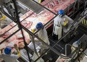 ‘Individually, we must stop eating animal products. Collectively, we must transform the global food system and work toward ending animal agriculture.’ Photograph: Daniel Acker/Bloomberg/Getty Images