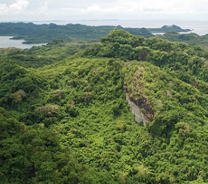 credit - https://islandtimes.org/