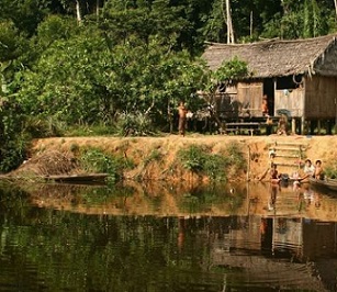 This photograph, taken in the Médio Juruá region of Amazonas State, Brazil. shows the houses of forest-proximate people living in sustainable development reserves in Amazonia. Credit: Peter Newton, University of Colorado Boulder