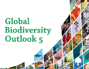 GBO-5 cover. credit - UN Environment