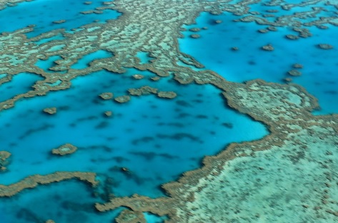Great Barrier Reef, Australia. source - https://www.zmescience.com/