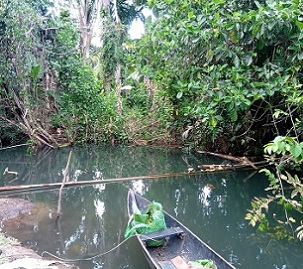 Credit - Moffat Mamu, https://www.solomonstarnews.com/