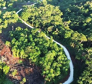 Credit - https://www.solomonstarnews.com/