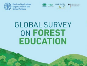 Global Survey on Forest Education. Credit - FAO