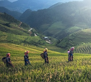 Credit: Pixabay/CC0 Public Domain