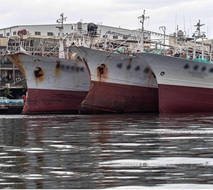 China assigns first on-board observers to distant-water fishing vessel. Credit - www.seafoodsource.com