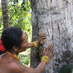 Photo - Vinolia Ahmad/Mongabay-Indonesia.