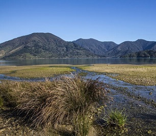 Kenepuru Sound, South Island, New Zealand. Photo: EDS