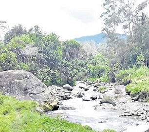 Conserving Nokondi land. Credit - Shirley Komogi