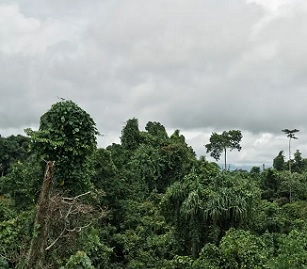 Credit - Riccardo Testolin/Getty Images