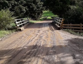 AT commits to environmental trial to protect endangered fish