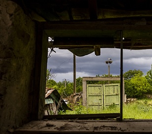 Wildlife seen through ruins. Credit: Malkolm Boothroyd